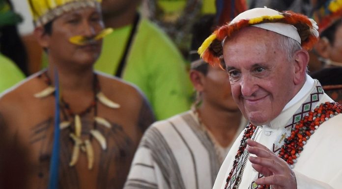 Querida Amazonia: consecuencias de un esperado viraje que no fue