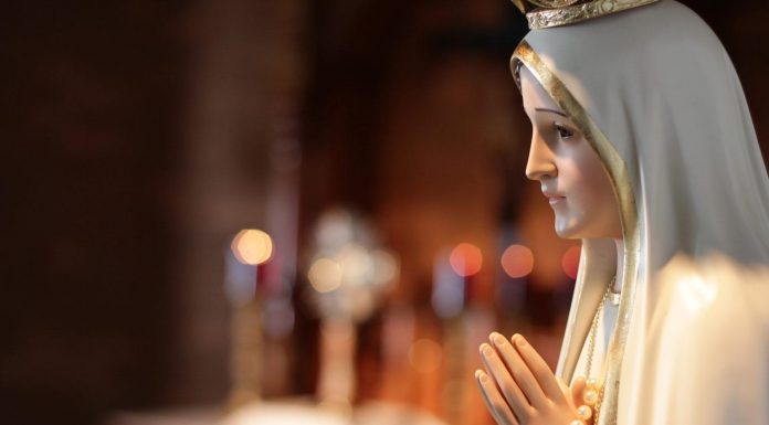 Fátima y el coronavirus