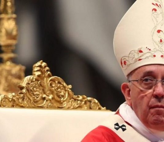 Creo en el Papa Francisco…