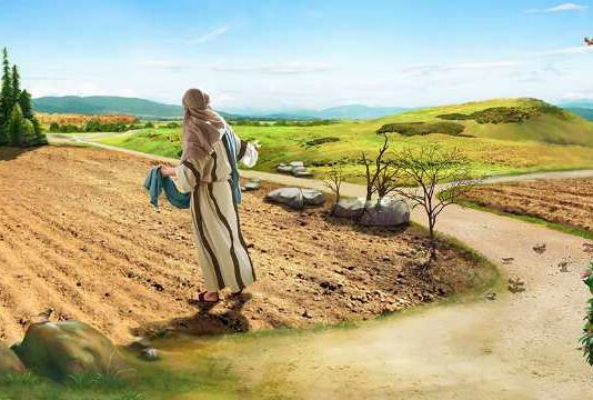 Tiempo de la Iglesia y vida sobrenatural