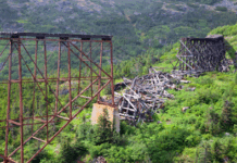 La mentira del artículo 1 de Traditionis custodes Image