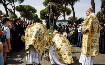 Comunicado de la FSSPX sobre Mater Populi fidelis Image